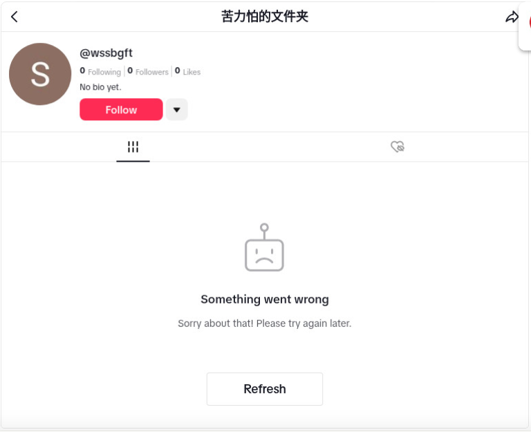 TikTok主页